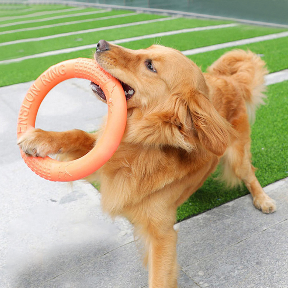 Snuffle Mat For Dogs - 1 ، ألعاب كلاب برتقالية اللون