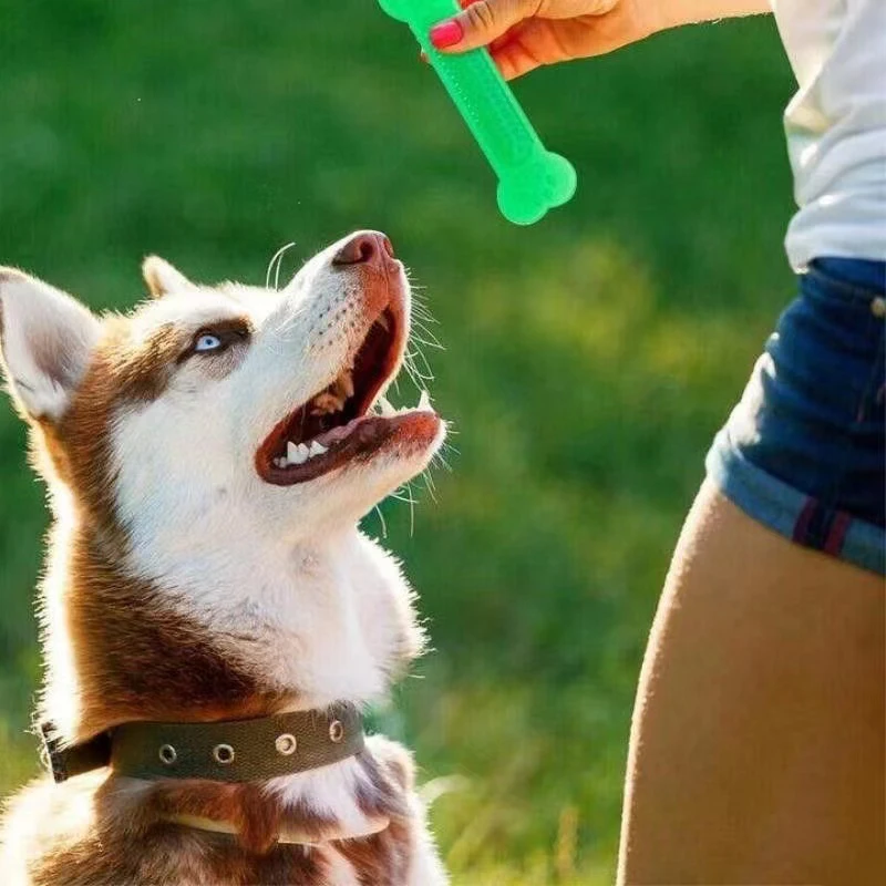 Teeth Cleaning Dog Chew Bone - سوبر صعبة الكلب العظام مضغ لعبة