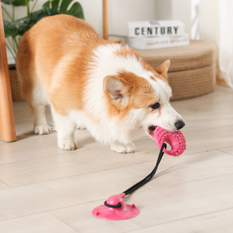 Suction Cup Dog Tug Toy - ألعاب الكلب كوب شفط السيليكون الساحبة