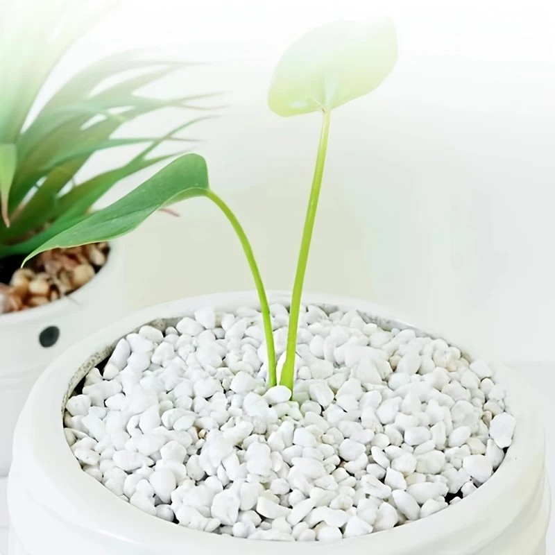 Pet Beds - 1L عالية الجودة بيرلايت السحلية النضرة