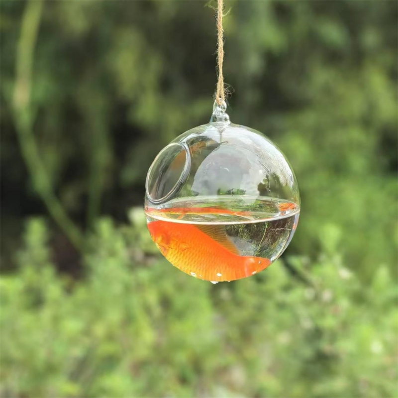 Aquarium - حوض سمك زجاجي شفاف بقطر تغليف