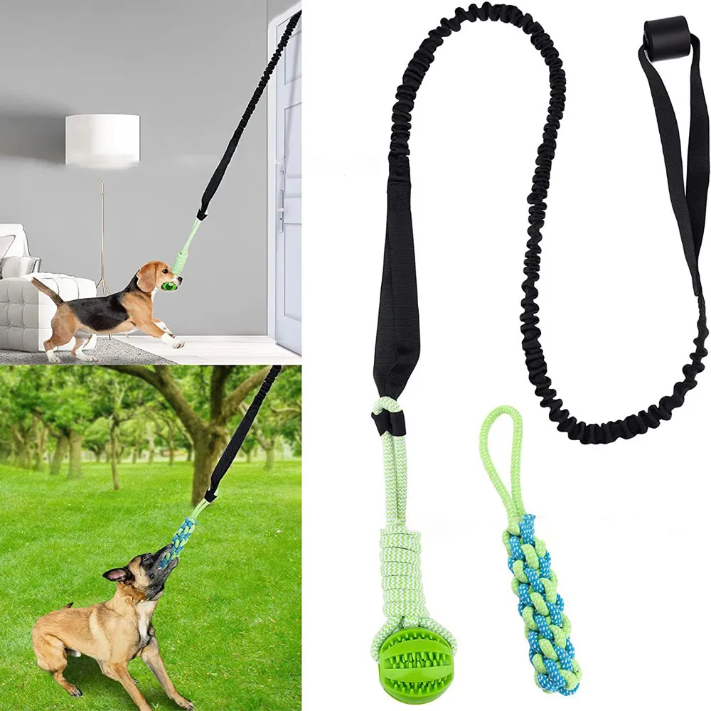 Suction Cup Dog Tug Toy - لعبة الكلب التفاعلية شد الحرب الربيع