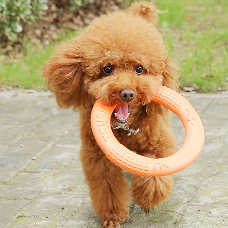 1 ، ألعاب كلاب برتقالية اللون  - مراجعة Snuffle Mat For Dogs وسعره