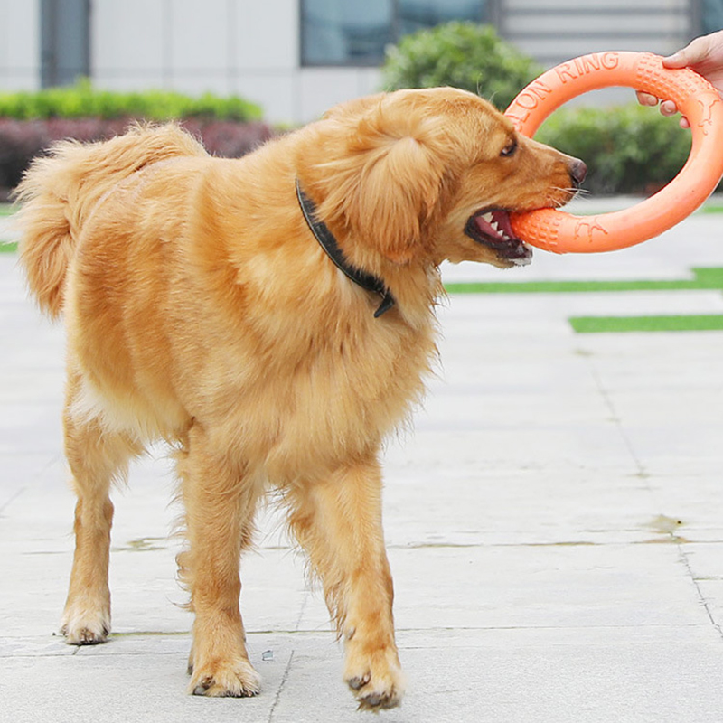 1 ، ألعاب كلاب برتقالية اللون  - مراجعة Snuffle Mat For Dogs وسعره