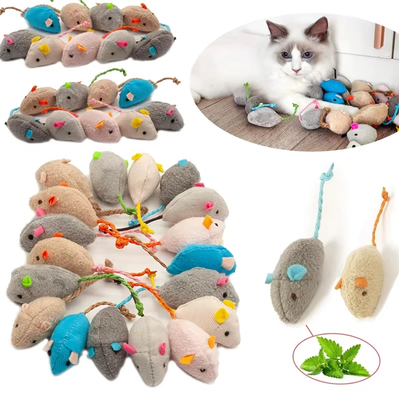 5 قطعة ألعاب فأر القط الموت أي - مراجعة Catnip Interactive Plush Mouse وسعره