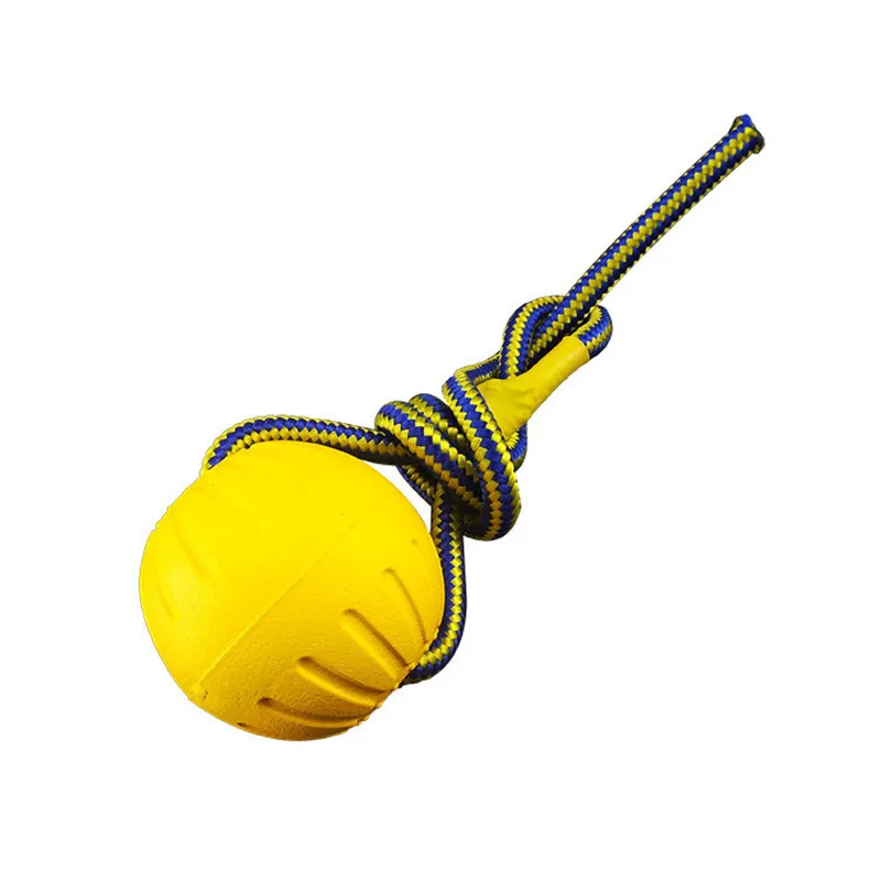 لعبة الكلب الكرة التدريب حلقة  - مراجعة Suction Cup Dog Tug Toy وسعره