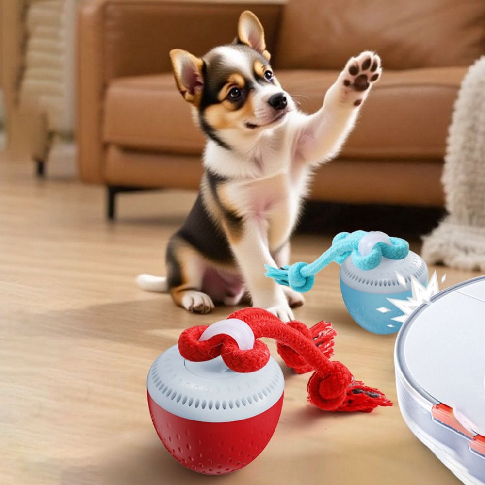كرة لعبة ذكية للحيوانات الأليف - مراجعة Automatic Moving Dog Ball وسعره