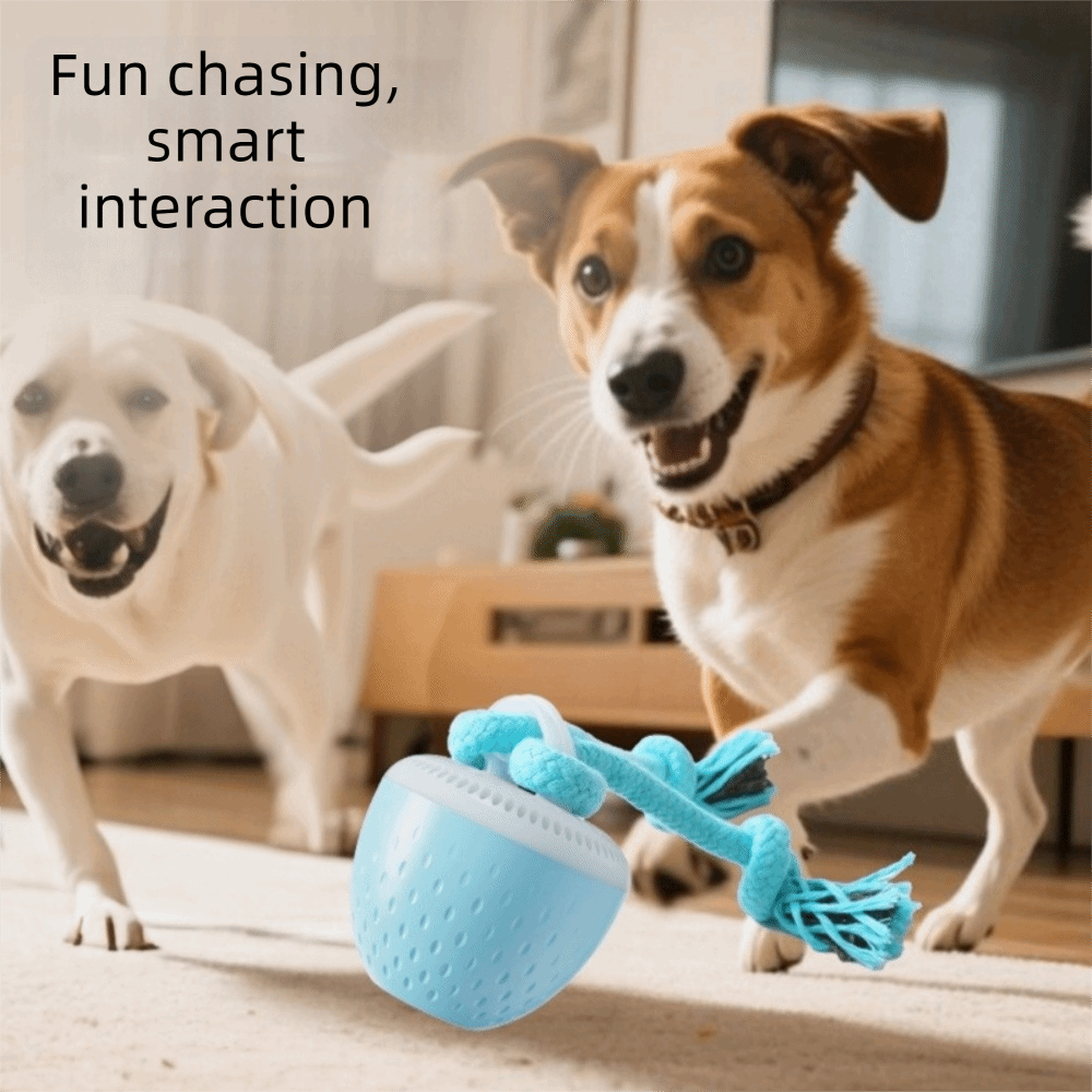 كرة لعبة ذكية للحيوانات الأليف - مراجعة Automatic Moving Dog Ball وسعره