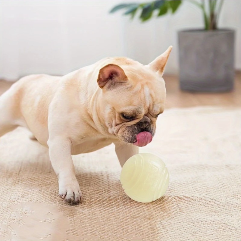 كرة مطاطية مضيئة في الظلام للك - مراجعة Indestructible Dog Chew Toy وسعره