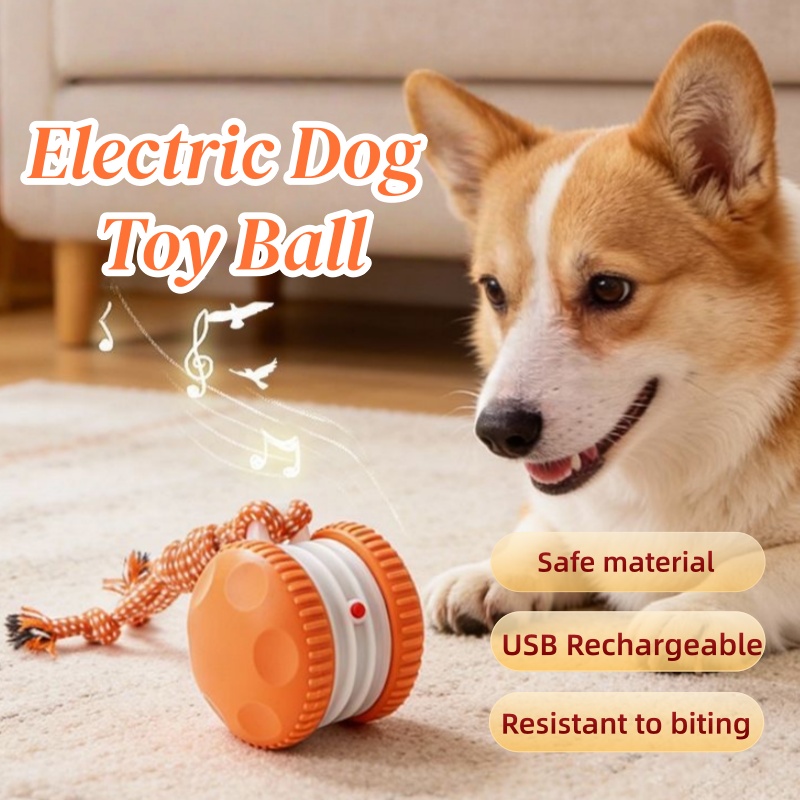 كرة ذكية تفاعلية للحيوانات الأ - مراجعة Automatic Moving Dog Ball وسعره