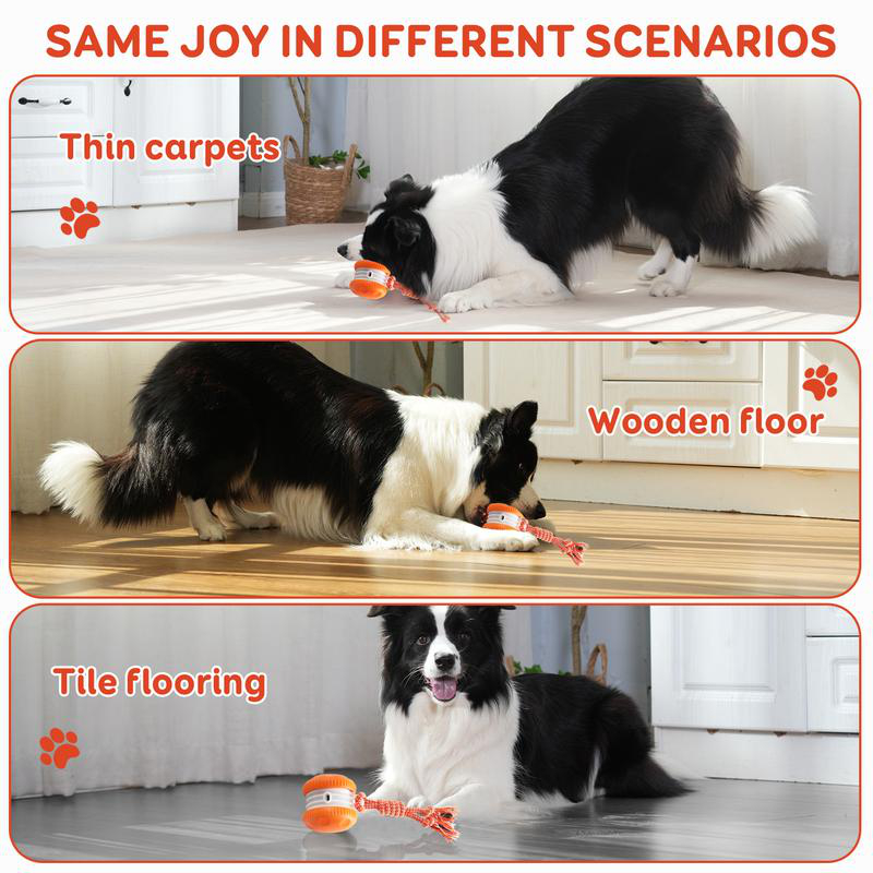 كرة ذكية تفاعلية للحيوانات الأ - مراجعة Automatic Moving Dog Ball وسعره