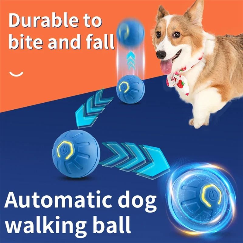 كرة ذكية للكلاب AT84-2PCS، كرة - مراجعة Automatic Moving Dog Ball وسعره