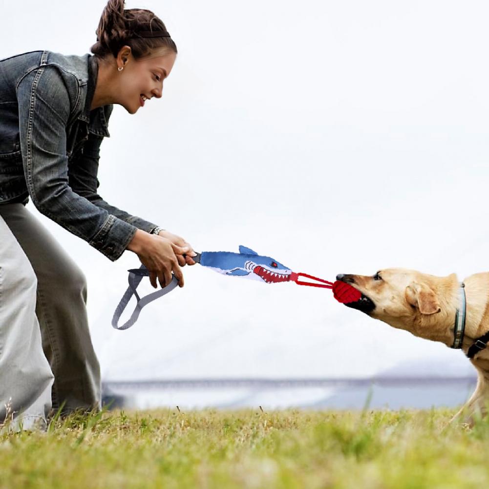 لعبة حبل القرش التفاعلية مع كو - مراجعة Suction Cup Dog Tug Toy وسعره