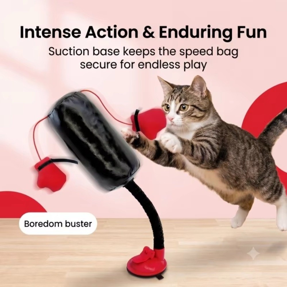 لعبة قتال القطط بقاعدة شفط، قا - مراجعة Interactive Squeaky Plush Dog Toy وسعره