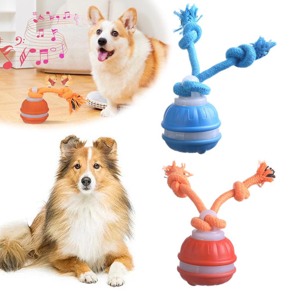 الذكية قابلة للشحن الكلب الكرة - مراجعة Automatic Moving Dog Ball وسعره