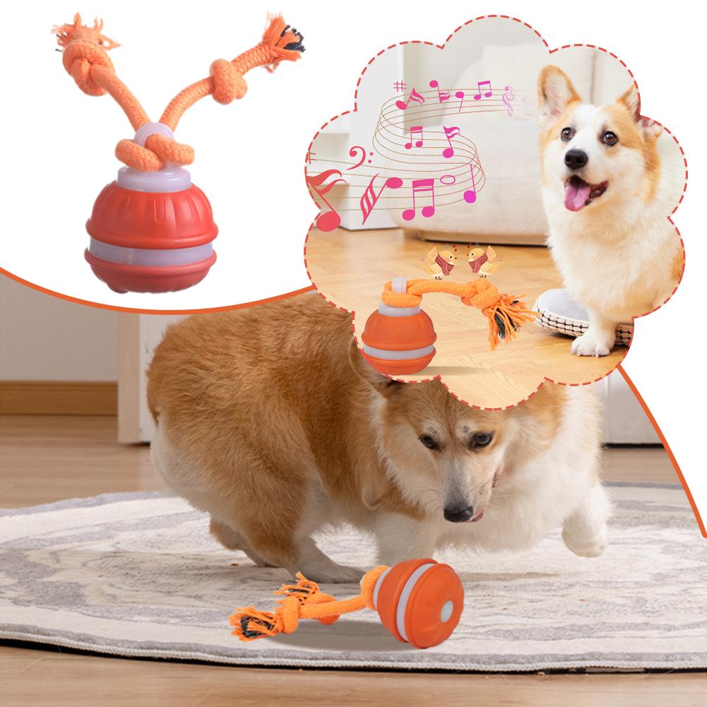 الذكية قابلة للشحن الكلب الكرة - مراجعة Automatic Moving Dog Ball وسعره