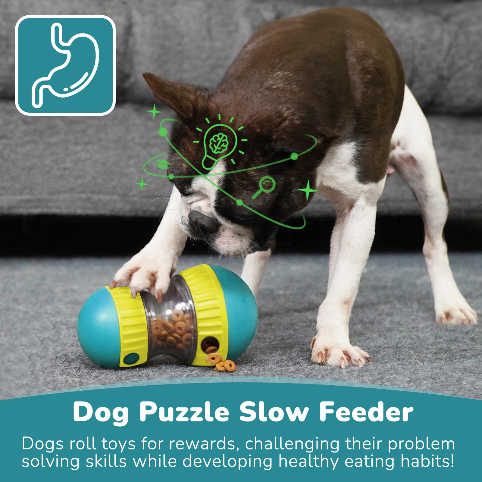 ألعاب الكلاب وكرة التغذية البط - مراجعة Snuffle Mat For Dogs وسعره