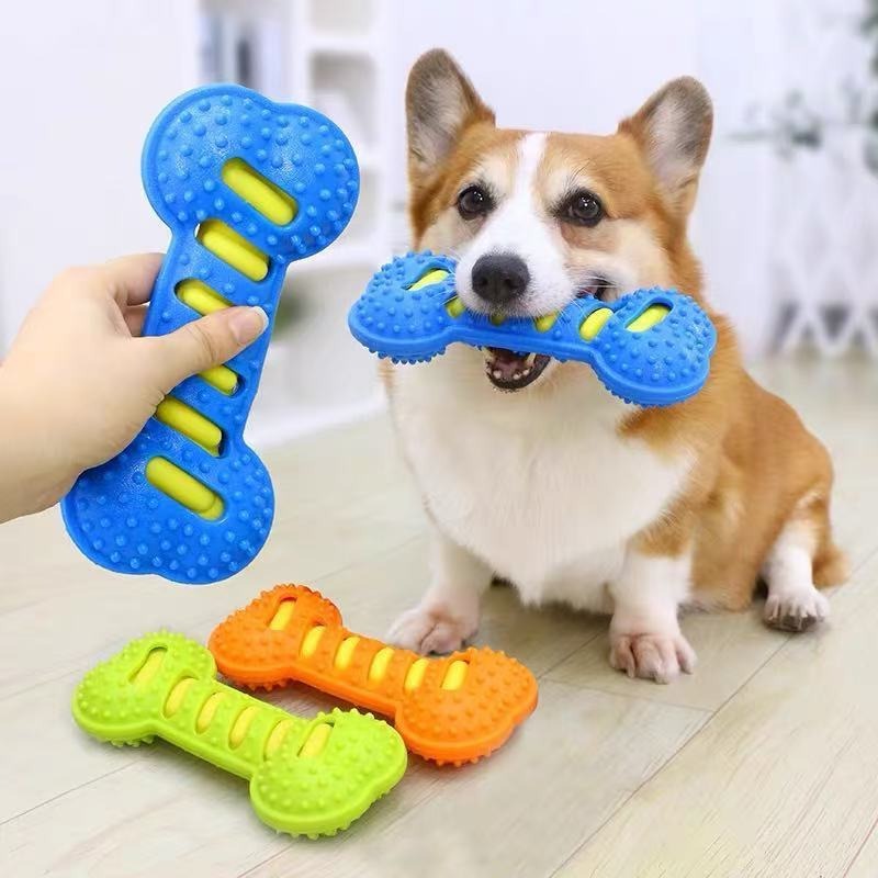 عصا مطاطية على شكل عظم للكلاب، - مراجعة Teeth Cleaning Dog Chew Bone وسعره