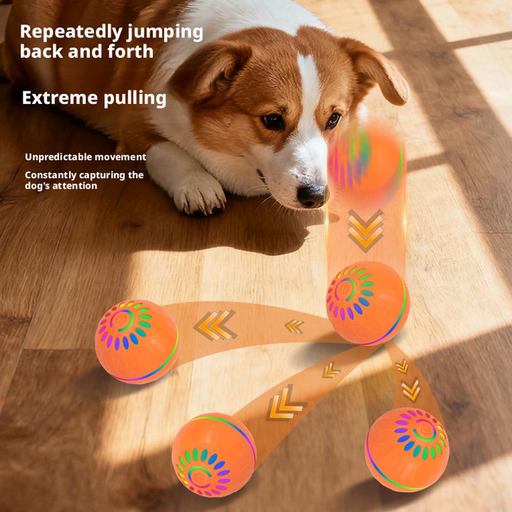 كرة لعبة ذكية للكلاب تتحرك تلق - مراجعة Automatic Moving Dog Ball وسعره