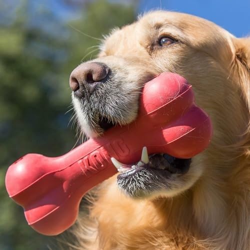 عظم كلب كلاسيكي متين من المطاط - مراجعة Rubber Treat Dispensing Dog Toy وسعره