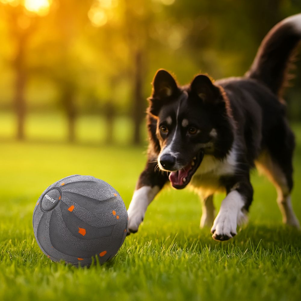 لعبة الكلب الذكية المقاومة للع - مراجعة Automatic Moving Dog Ball وسعره
