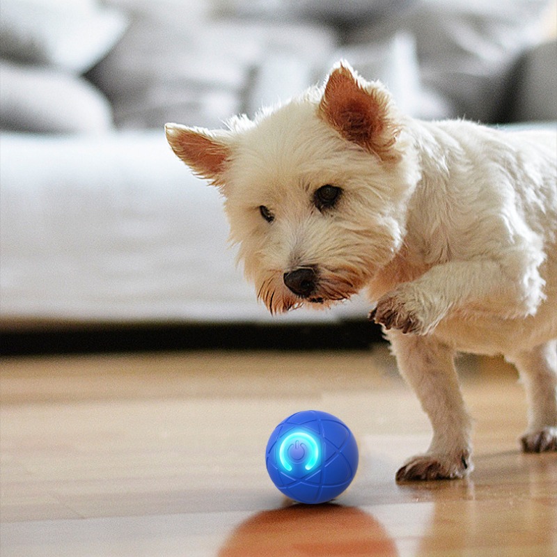 لعبة الكلب الذكية الكرة USB ال - مراجعة Suction Cup Dog Tug Toy وسعره
