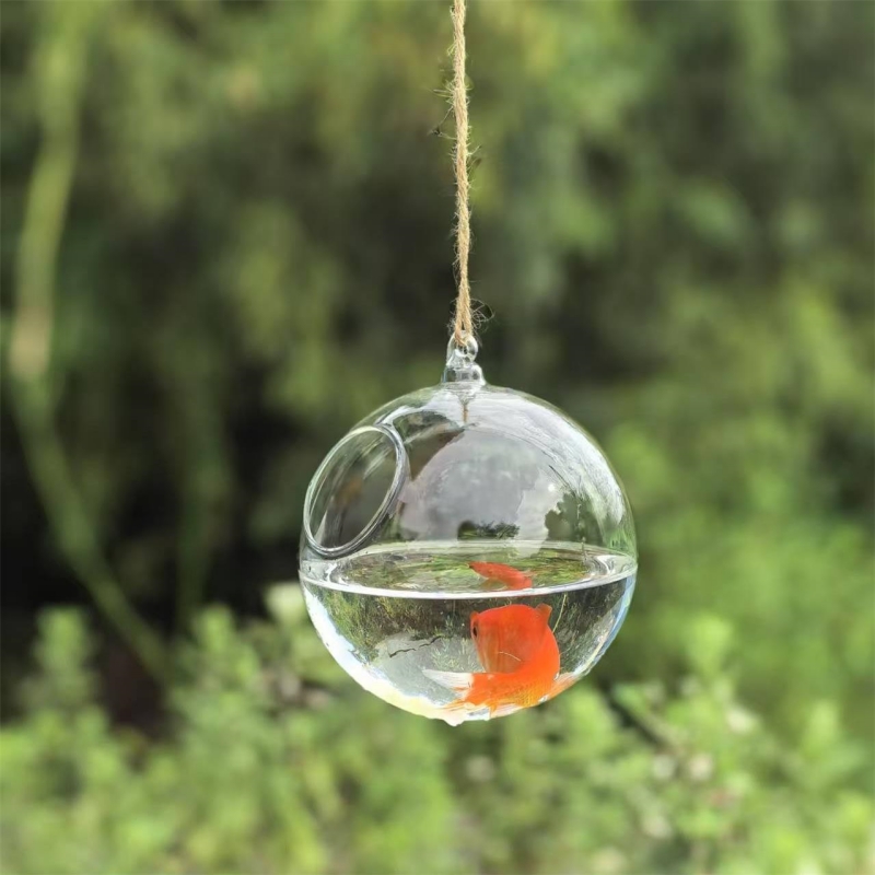 حوض سمك زجاجي شفاف بقطر تغليف  - مراجعة Aquarium وسعره