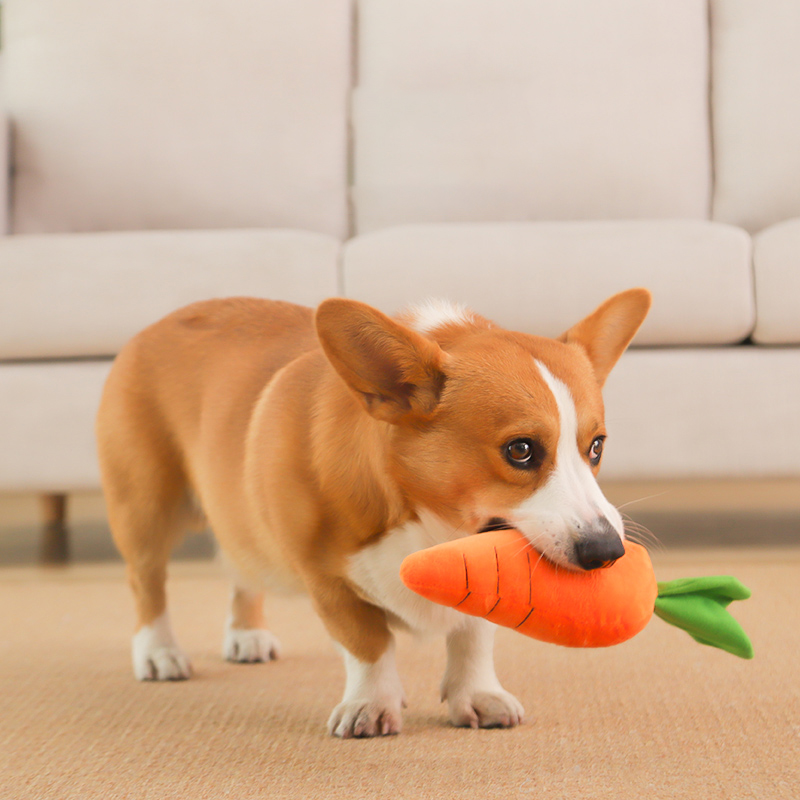 HOOPET لعبة الكلب الحيوانات ال - مراجعة Indestructible Dog Chew Toy وسعره