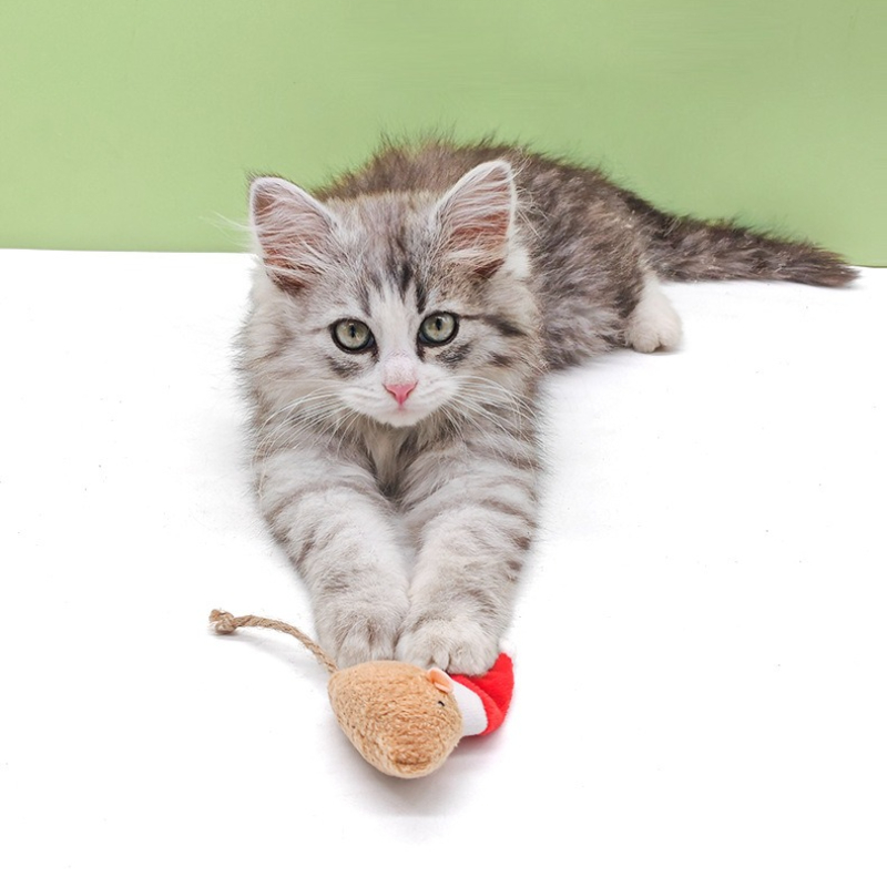 5 قطعة لعبة مضغ القط النعناع ا - مراجعة Catnip Interactive Plush Mouse وسعره