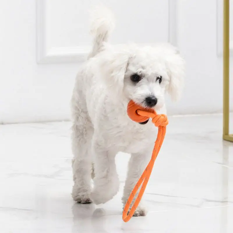 كرة تدريب الكلاب ، مصنوعة من ح - مراجعة Suction Cup Dog Tug Toy وسعره