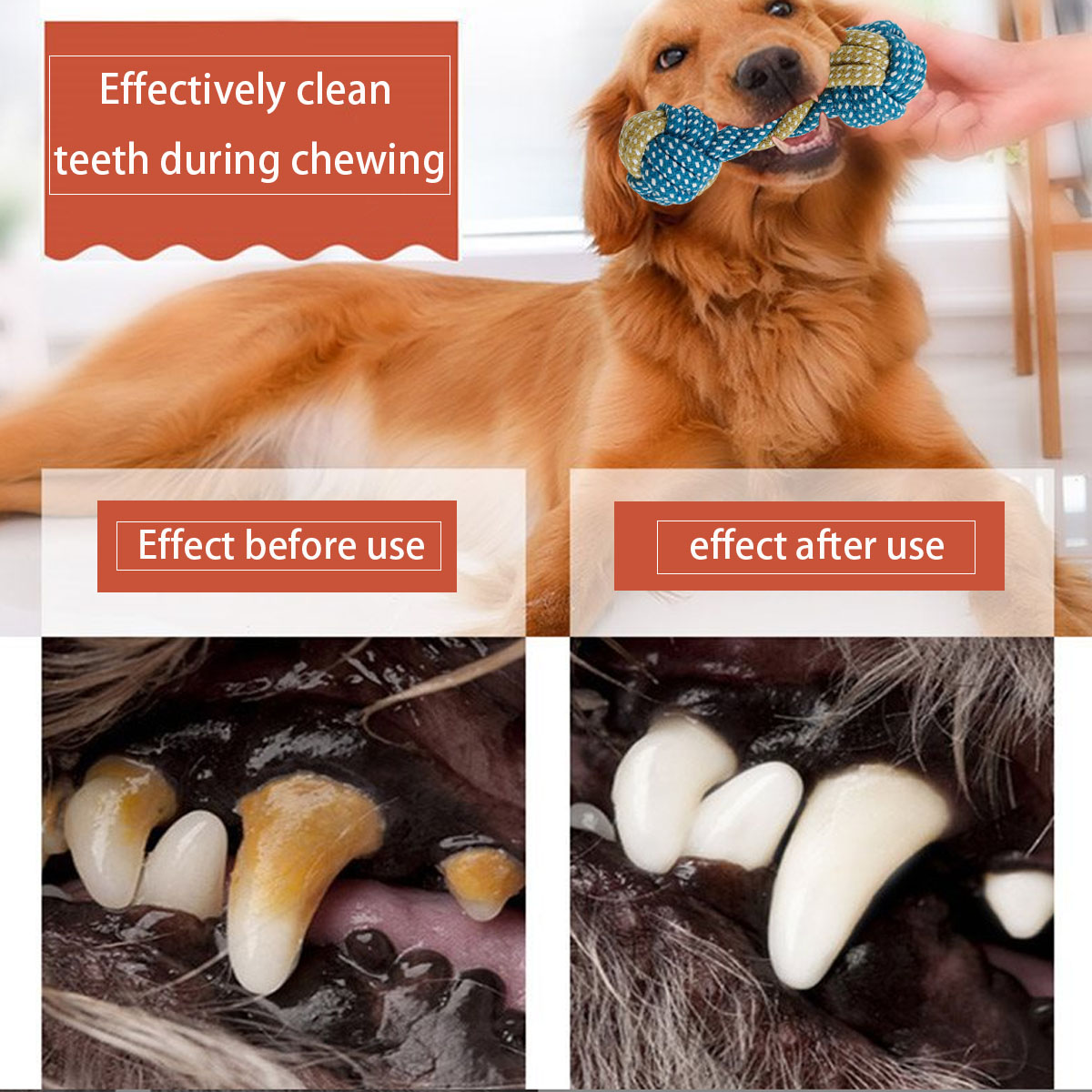 جديد 7 قطعة كلب جرو عقدة مزدوج - مراجعة Teeth Cleaning Dog Chew Bone وسعره