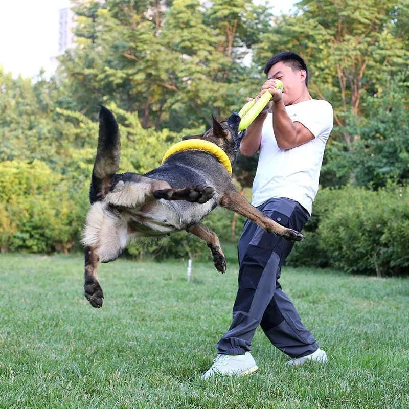 أقراص تحلق إيفا الكلب التدريب  - مراجعة Suction Cup Dog Tug Toy وسعره