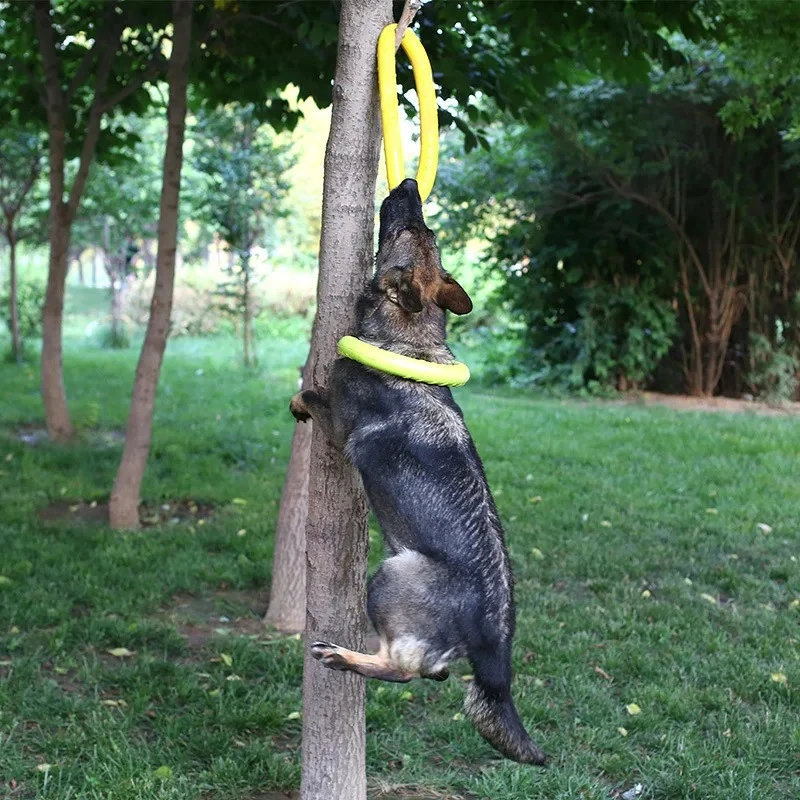 أقراص تحلق إيفا الكلب التدريب  - مراجعة Suction Cup Dog Tug Toy وسعره