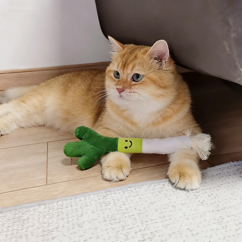 لعبة حيوانات أليفة لطيفة على ش - مراجعة Snuffle Mat For Dogs وسعره