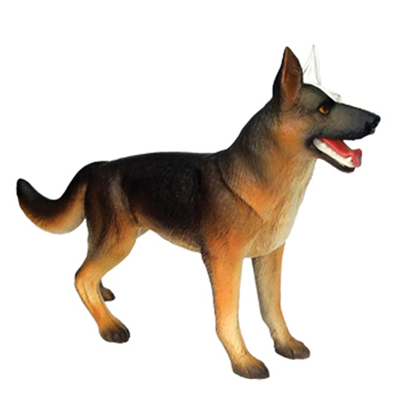 نموذج تشريح أعضاء الحيوانات رب - مراجعة Dog Toys وسعره
