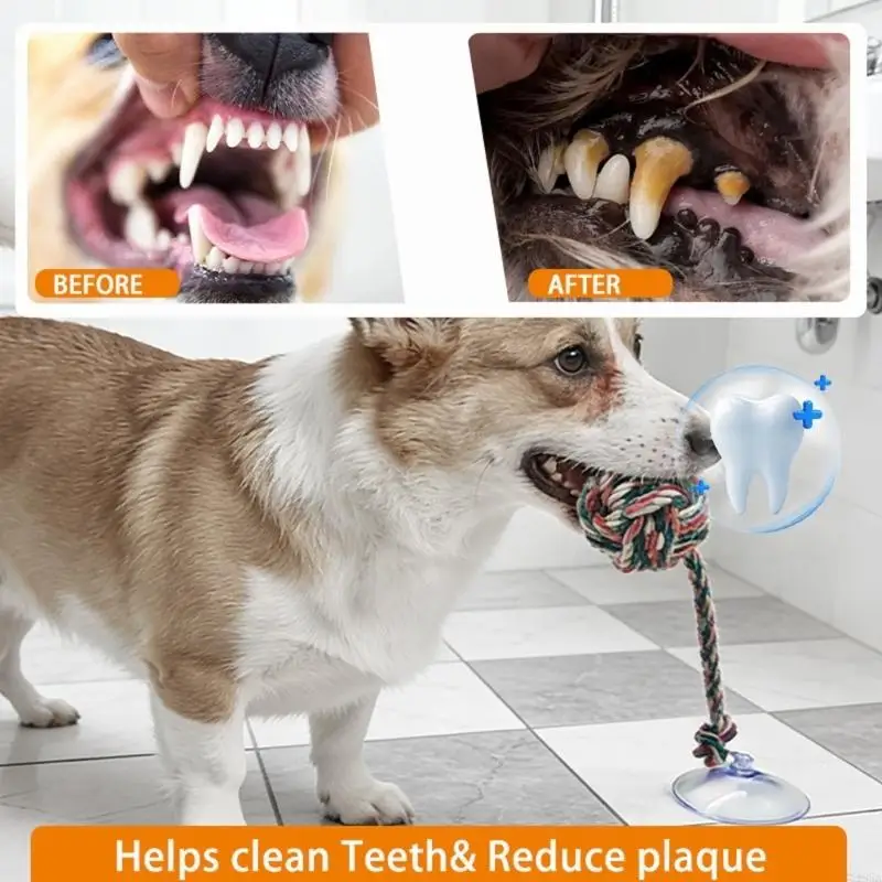لعبة مضغ ممتعة وآمنة للكلاب مع - مراجعة Suction Cup Dog Tug Toy وسعره