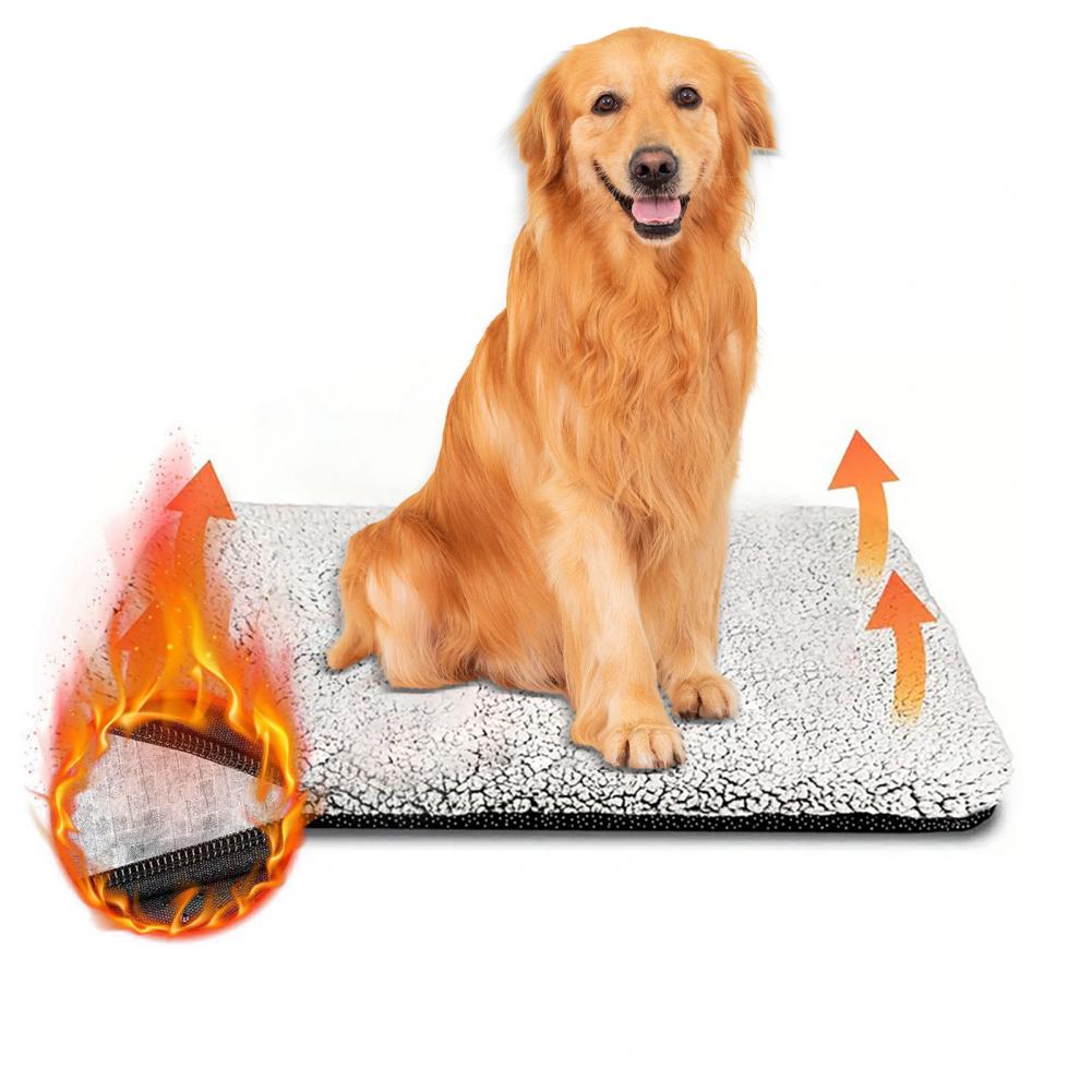 الحيوانات الأليفة لوحة التدفئة - مراجعة Pet Beds وسعره