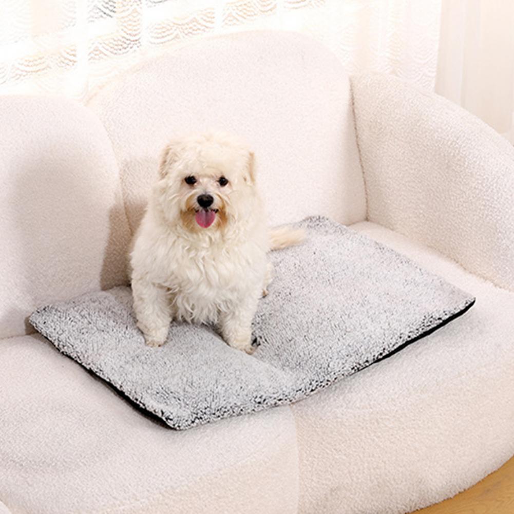الحيوانات الأليفة لوحة التدفئة - مراجعة Pet Beds وسعره