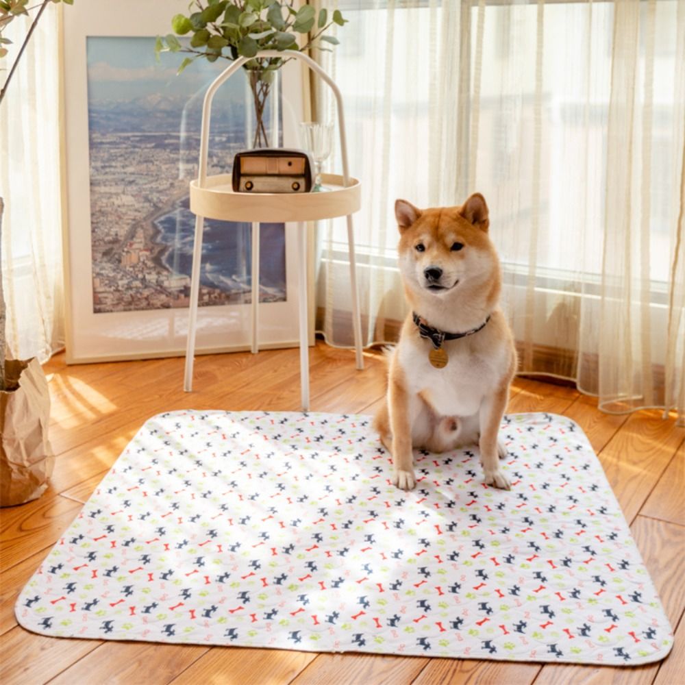 سجادة سرير للحيوانات الأليفة ف - مراجعة Pet Beds وسعره