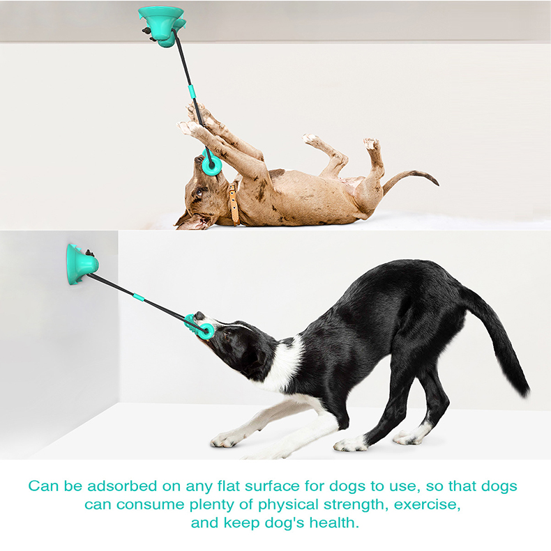 لعبة مصاصة مزدوجة الشفط للكلاب - مراجعة Suction Cup Dog Tug Toy وسعره