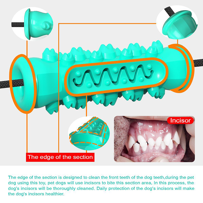لعبة مصاصة مزدوجة الشفط للكلاب - مراجعة Suction Cup Dog Tug Toy وسعره