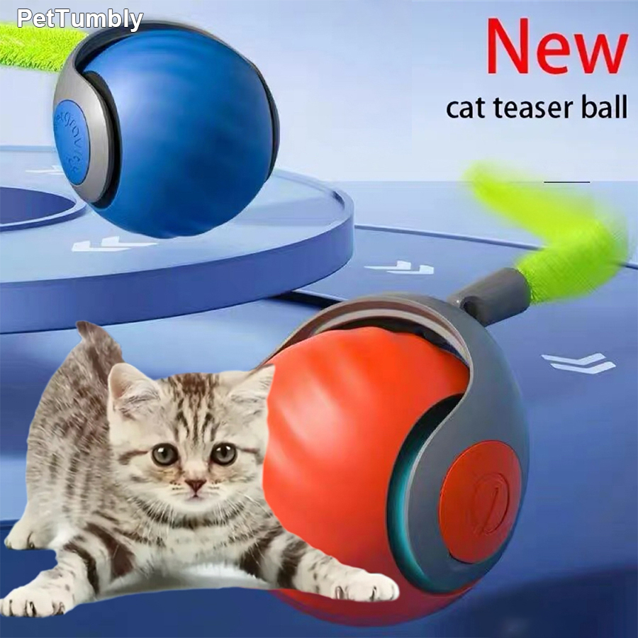 كرة لعبة تفاعلية للقطط تتحرك ت - مراجعة Automatic Moving Dog Ball وسعره