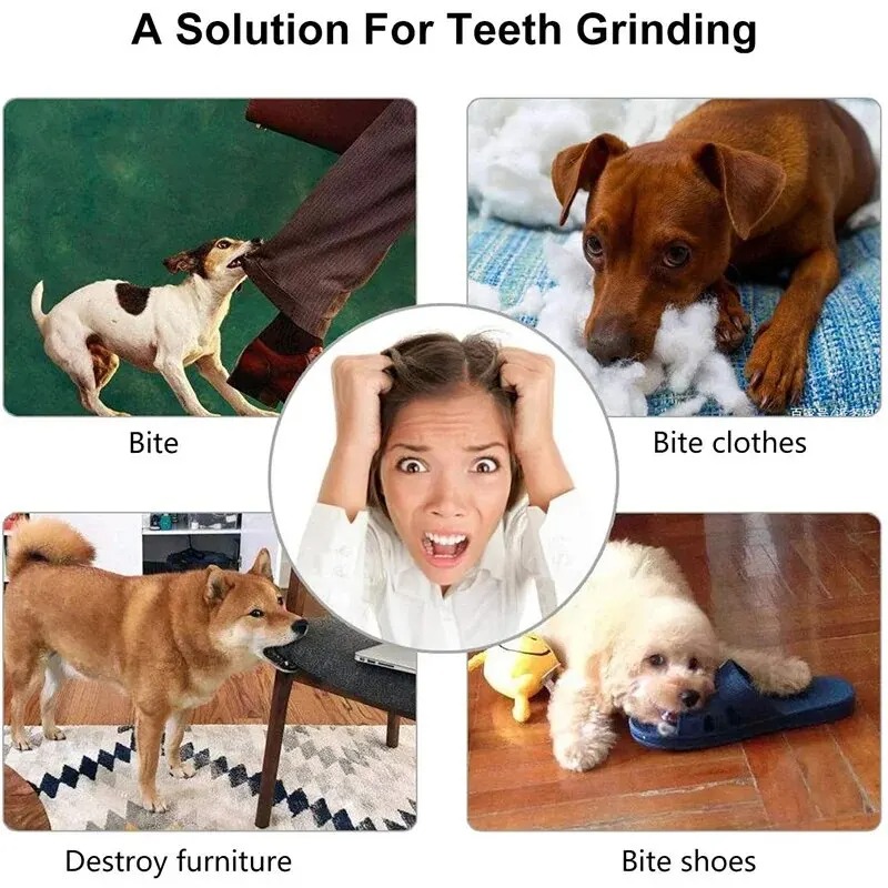 كرة مكافآت للكلاب، لعبة تفاعلي - مراجعة Rubber Treat Dispensing Dog Toy وسعره