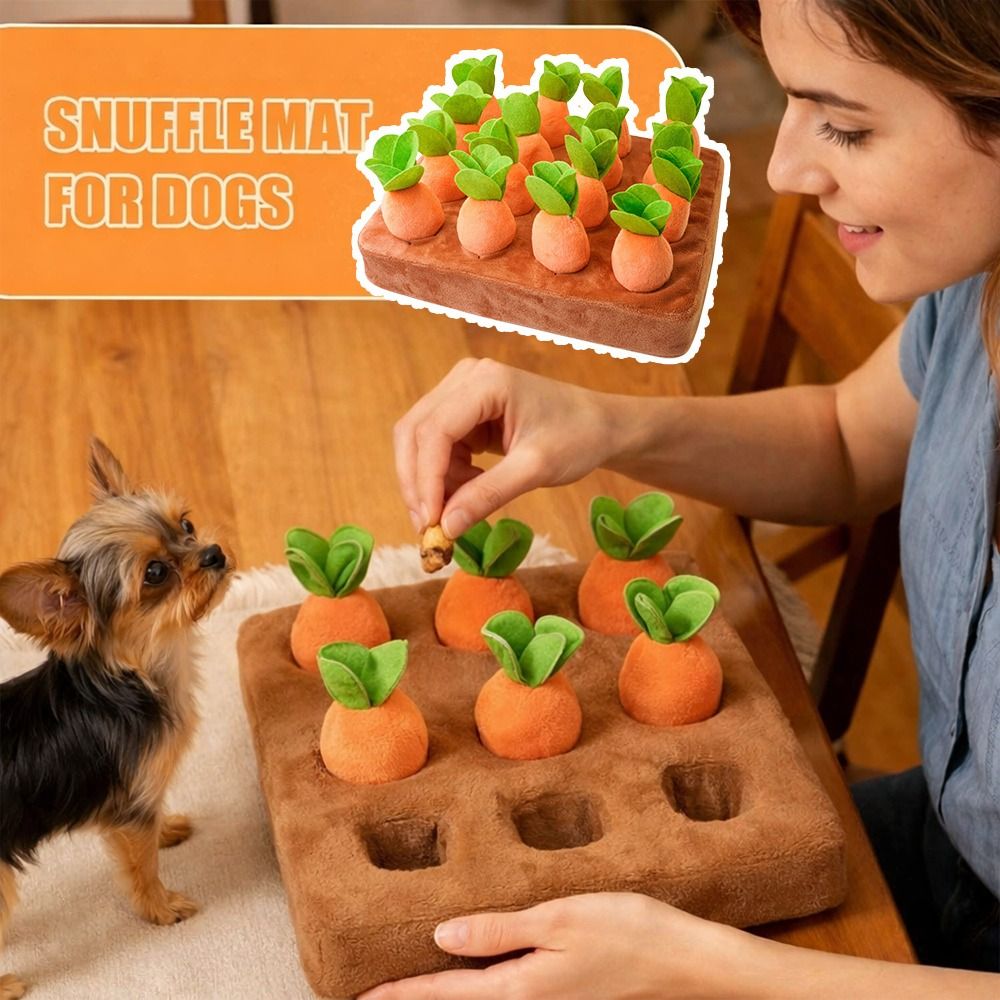بساط تسلية للحيوانات الأليفة ع - مراجعة Snuffle Mat For Dogs وسعره