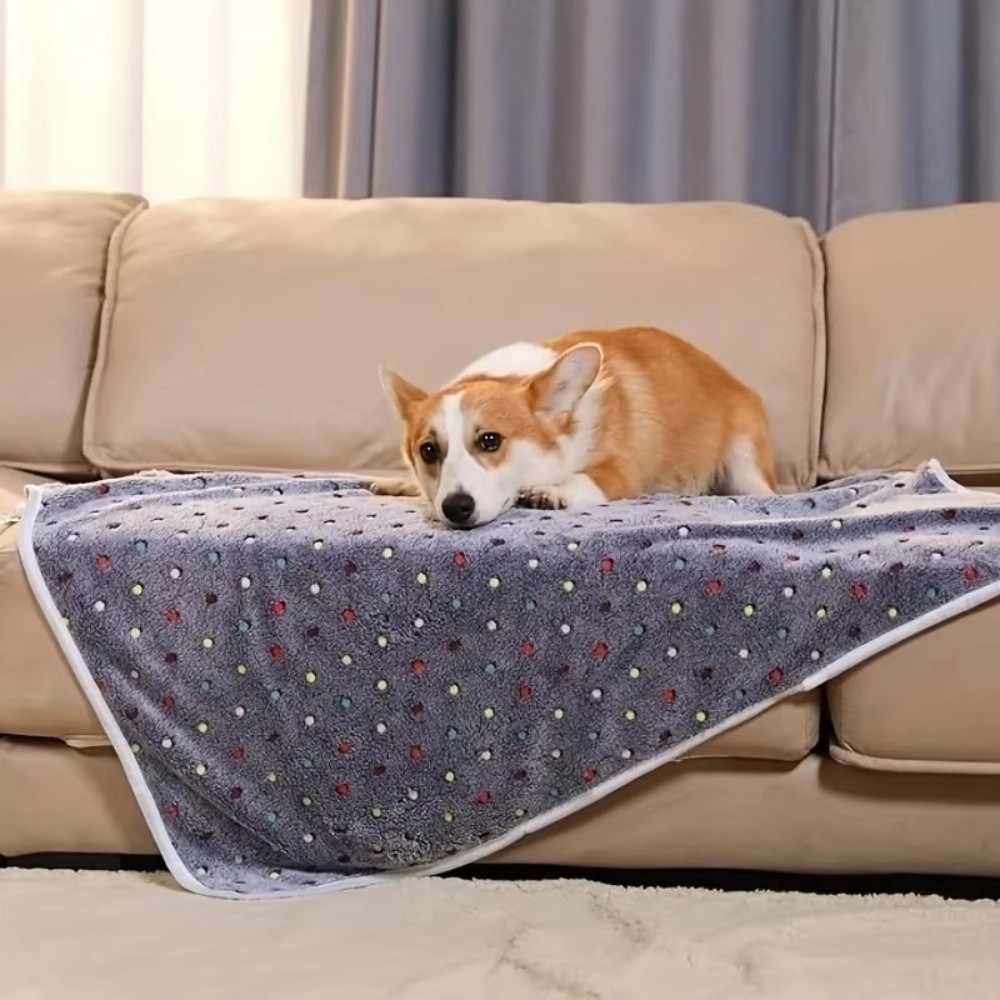 بطانية سرير الحيوانات الأليفة  - مراجعة Pet Beds وسعره