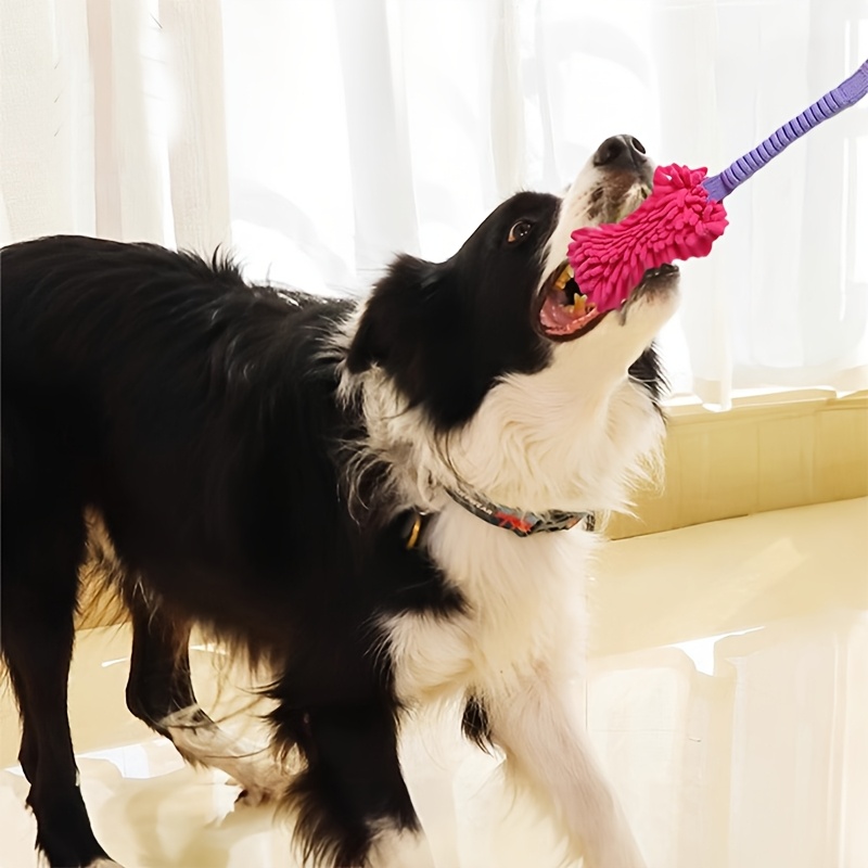 ألعاب متينة للكلاب للمضغ العدو - مراجعة Indestructible Dog Chew Toy وسعره