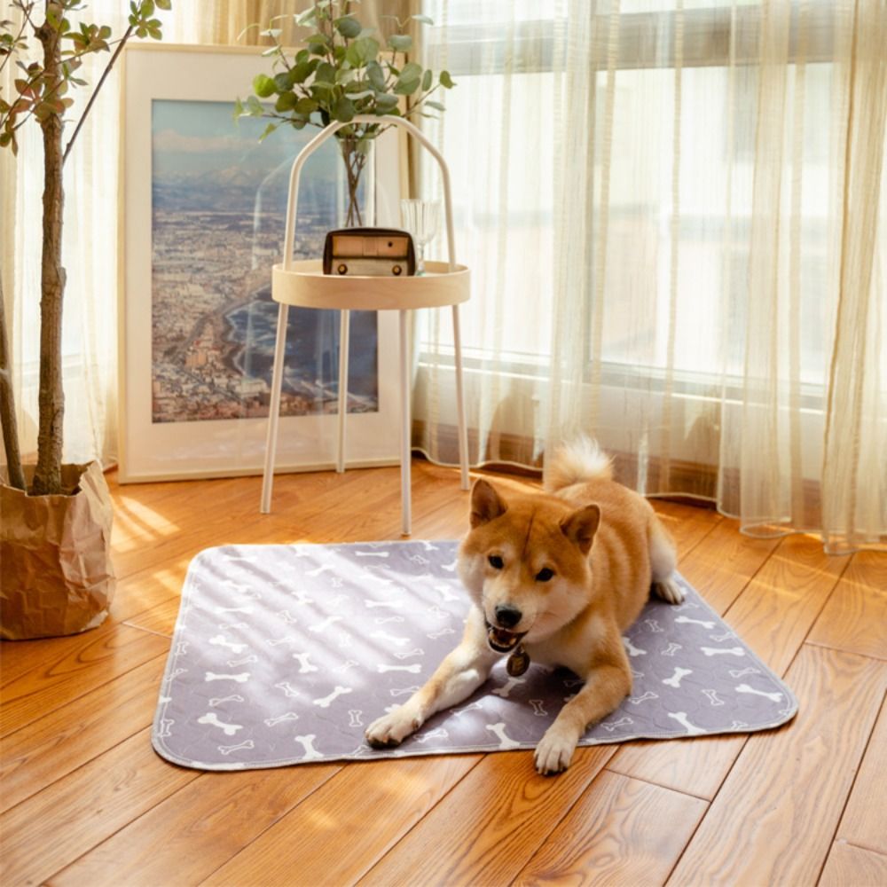 سجادة سرير للحيوانات الأليفة ف - مراجعة Pet Beds وسعره