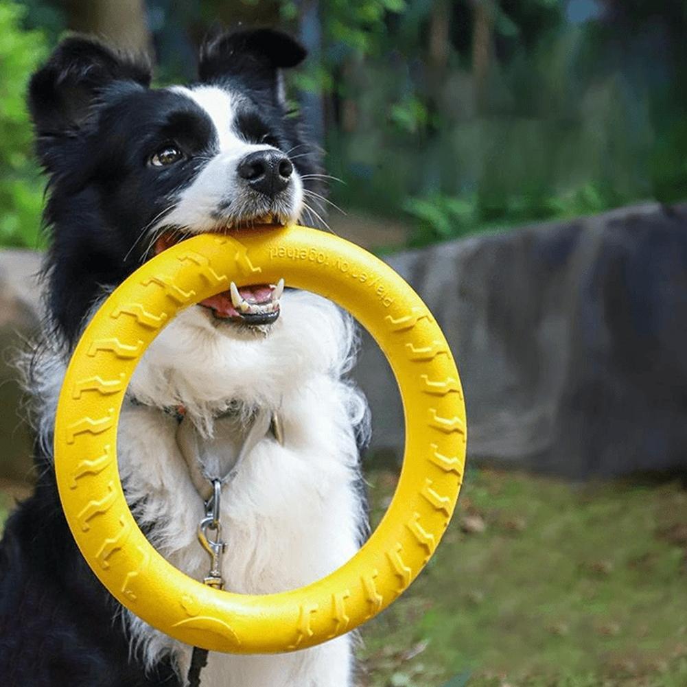 ألعاب حلقات للكلاب غير قابلة ل - مراجعة Indestructible Dog Chew Toy وسعره