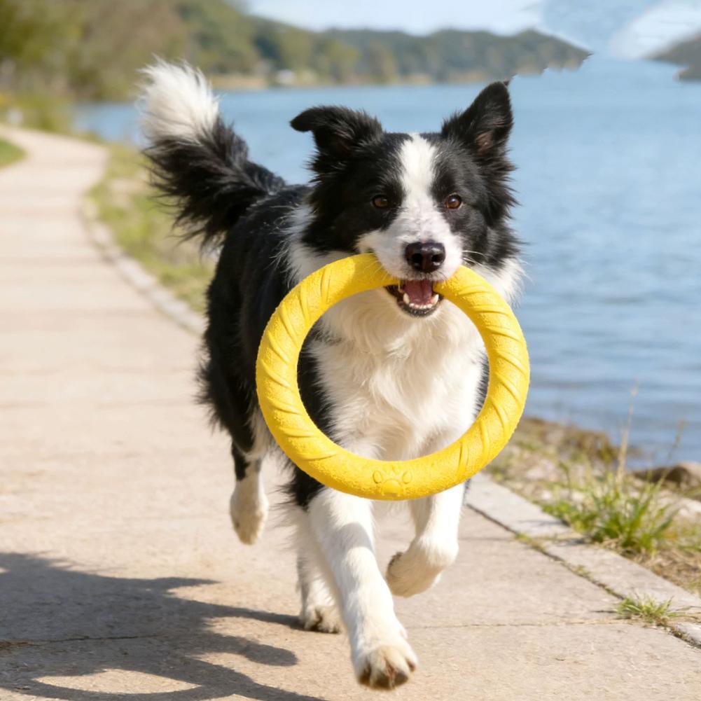 ألعاب حلقات للكلاب غير قابلة ل - مراجعة Indestructible Dog Chew Toy وسعره