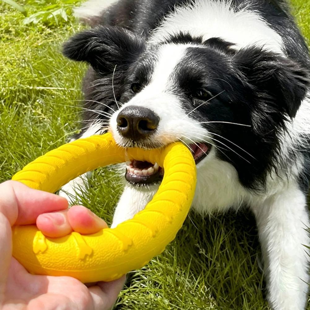 ألعاب حلقات للكلاب غير قابلة ل - مراجعة Indestructible Dog Chew Toy وسعره